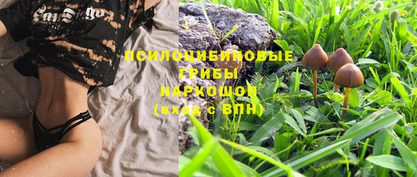 ALPHA-PVP Бородино