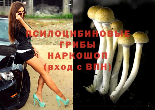 прущая мука Мурманск