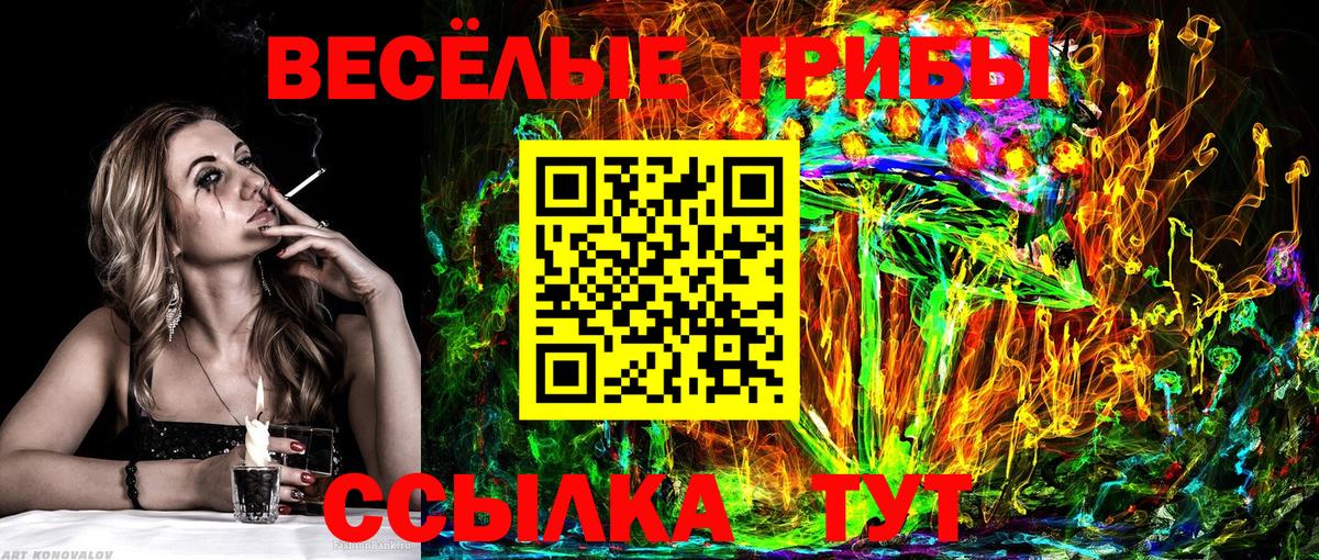 Видное  Псилоцибиновые грибы GOLDEN TEACHER  как найти наркотики  Вход с VPN  Псилоцибиновые грибы GOLDEN TEACHER 