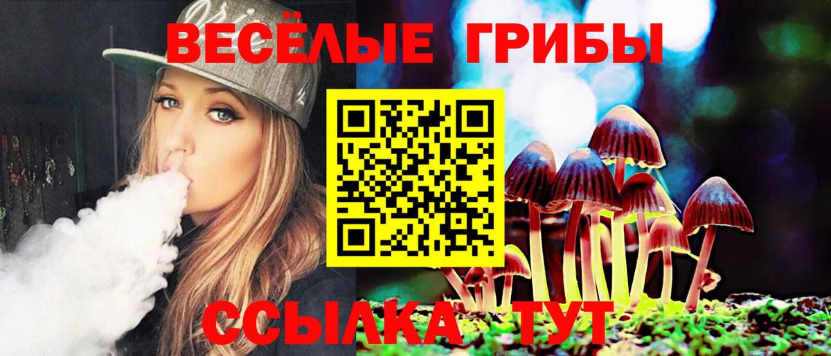 Псилоцибиновые грибы ЛСД Видное